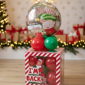 Elf in the Box (including elf) option 2