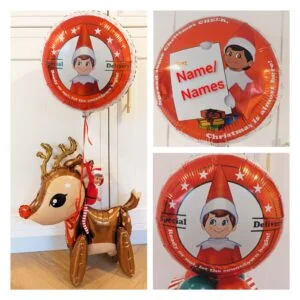 elf on the reindeer